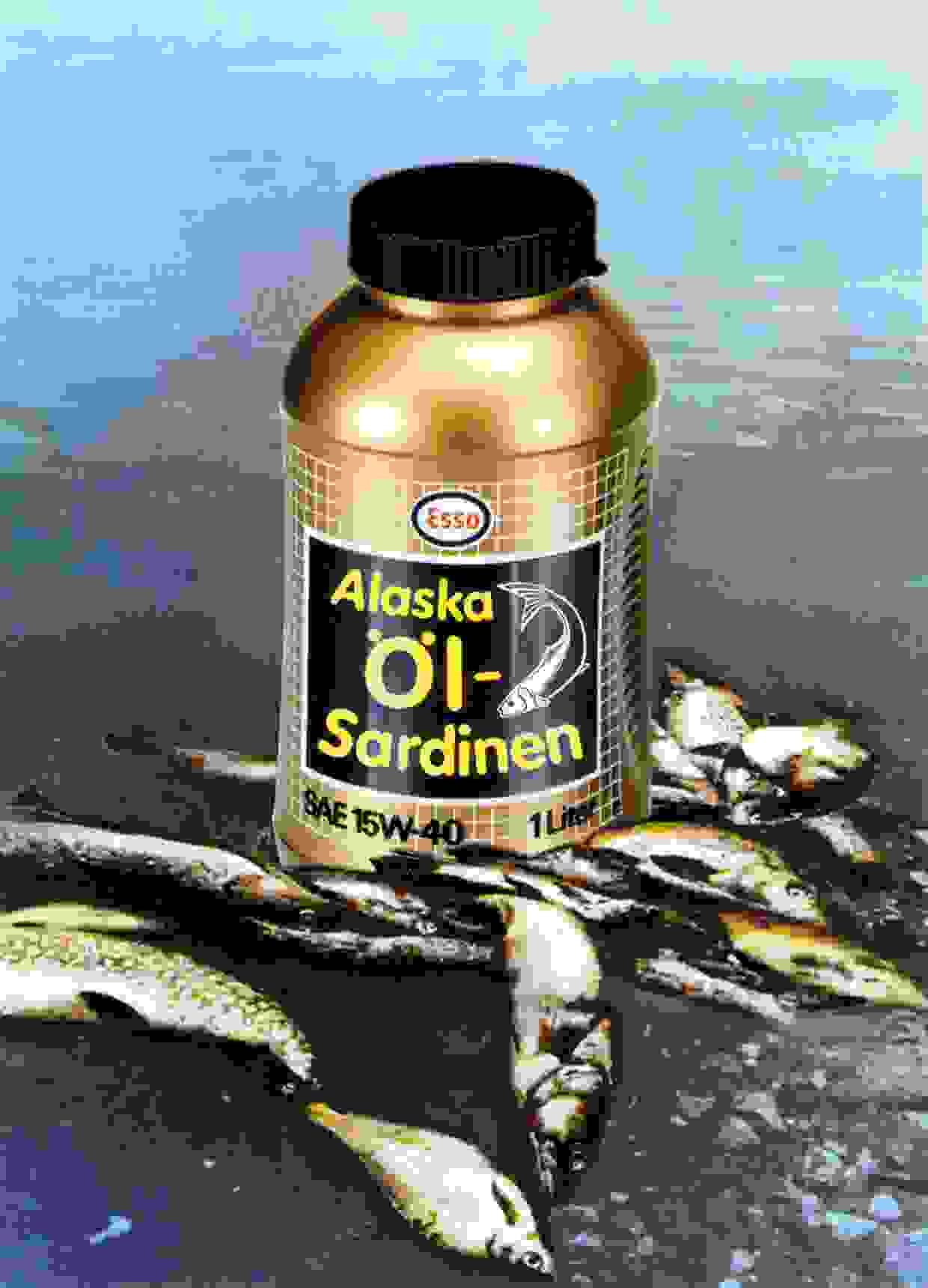 Alaska Ölsardinen